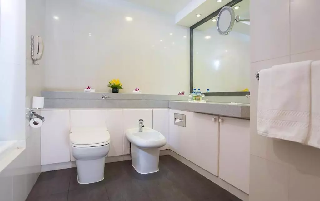 سرویس بهداشتی MILLENNIUM PLAZA DOWNTOWN